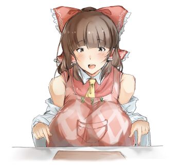 Cookie (Touhou) Rule 34 Image