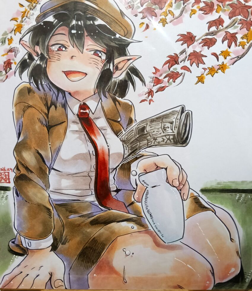 Shameimaru Aya (Touhou) Rule 34 Image