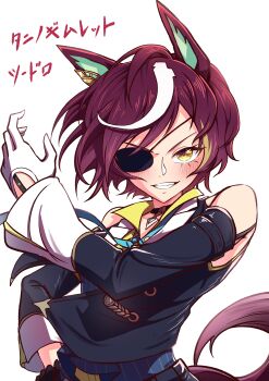 Tanino Gimlet (Embodiment Of Keravnos) (Umamusume) Rule 34 Image