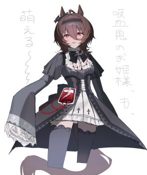 Agnes Tachyon (Umamusume) Rule 34 Image