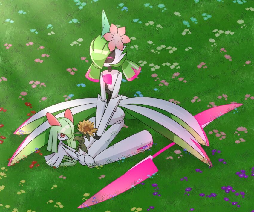 Gen 3 Pokemon (Nintendo) Rule 34 Image