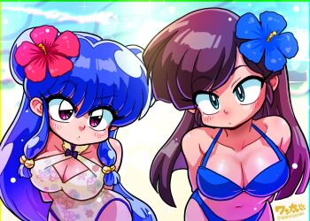 Shampoo (Ranma 1/2) Rule 34 Image