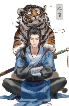 Lu Dongbin (All Wishes Come True!) Rule 34 Image