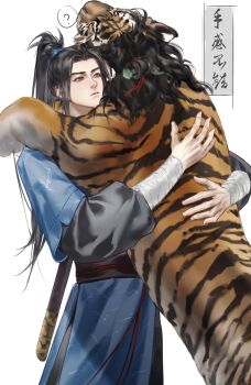 Lu Dongbin (All Wishes Come True!) Rule 34 Image