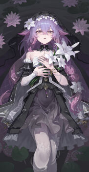 Lily (Flower) Rule 34 Image