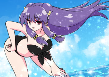 Shampoo (Ranma 1/2) Rule 34 Image