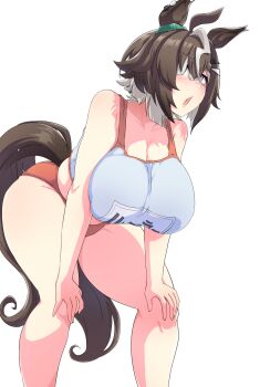 Rulership (Umamusume) Rule 34 Image