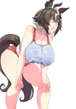 Rulership (Umamusume) Rule 34 Image
