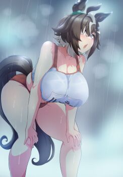 Rulership (Umamusume) Rule 34 Image