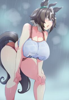 Rulership (Umamusume) Rule 34 Image