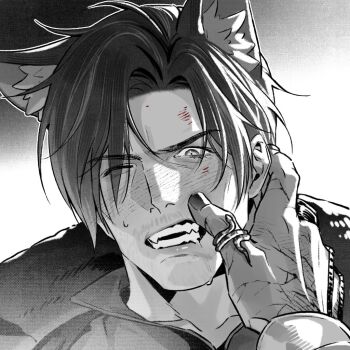 Animal Ears Rule 34 Image