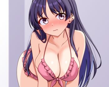Renny (Seraphyfether) Rule 34 Image
