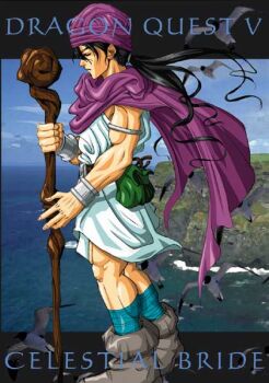 Hero (Dq5) Rule 34 Image