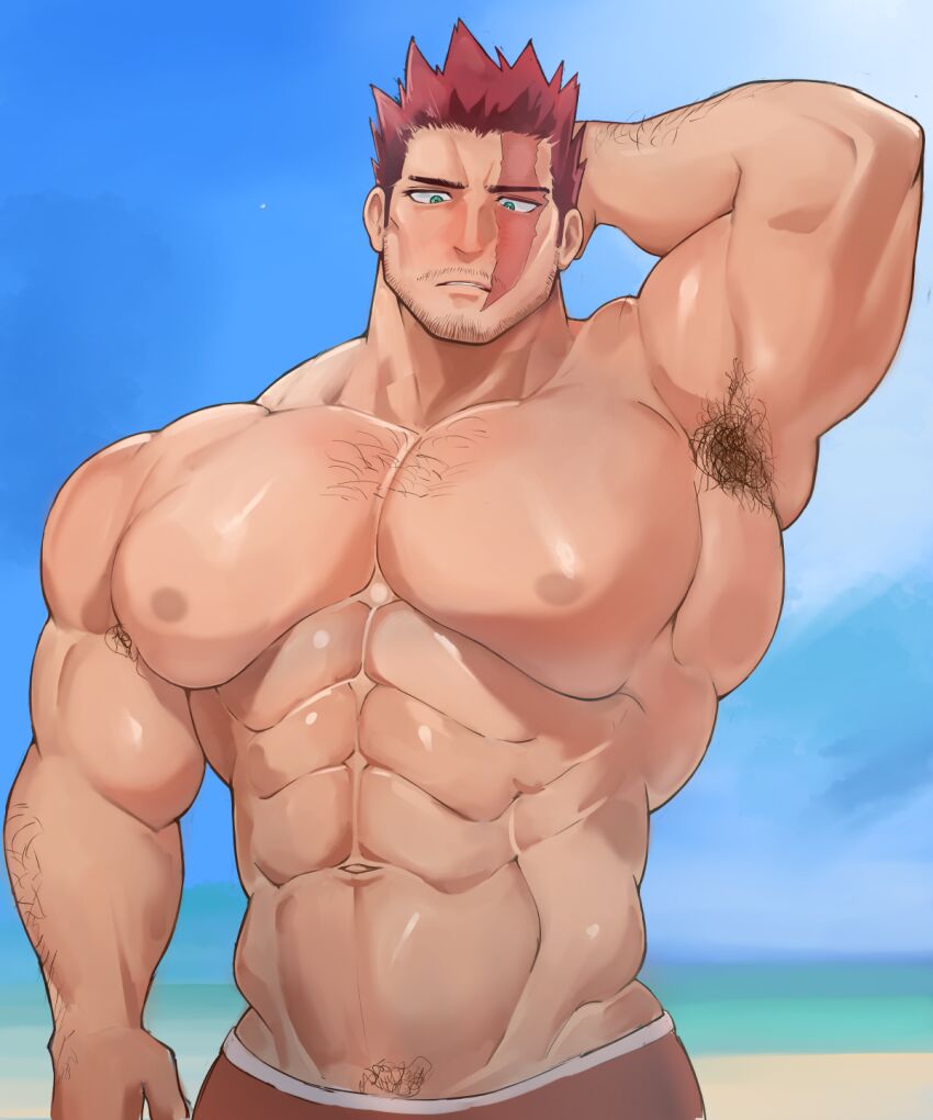 Endeavor (Boku No Hero Academia) Rule 34 Image