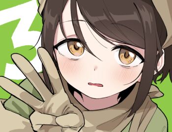 Brown Hair Rule 34 Image