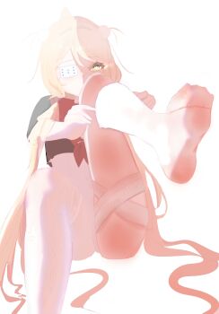 Phoenix Reffaella (The Illness Called Life) Rule 34 Image