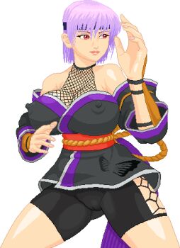 Ayane (Doa) Rule 34 Image
