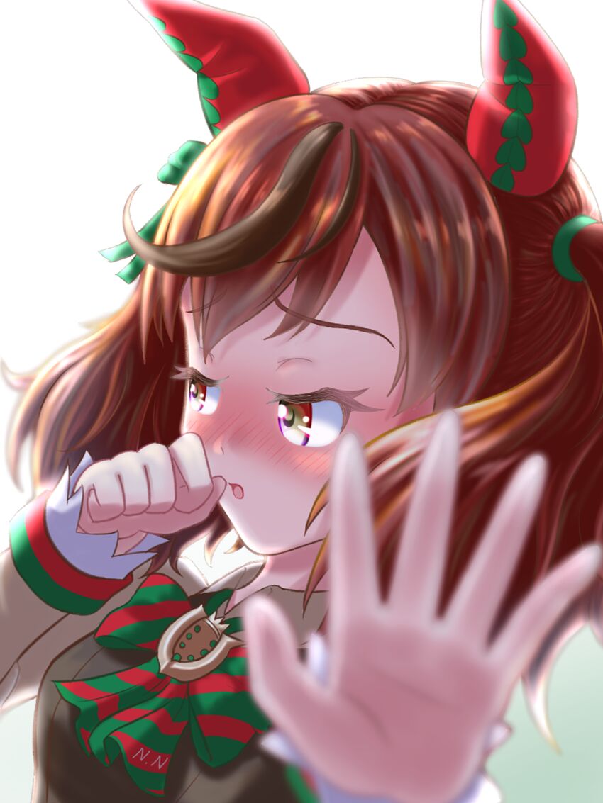 Nice Nature (Umamusume) Rule 34 Image