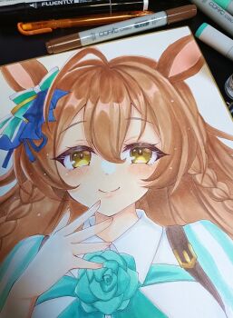 Mejiro Bright (Brunissage Line) (Umamusume) Rule 34 Image