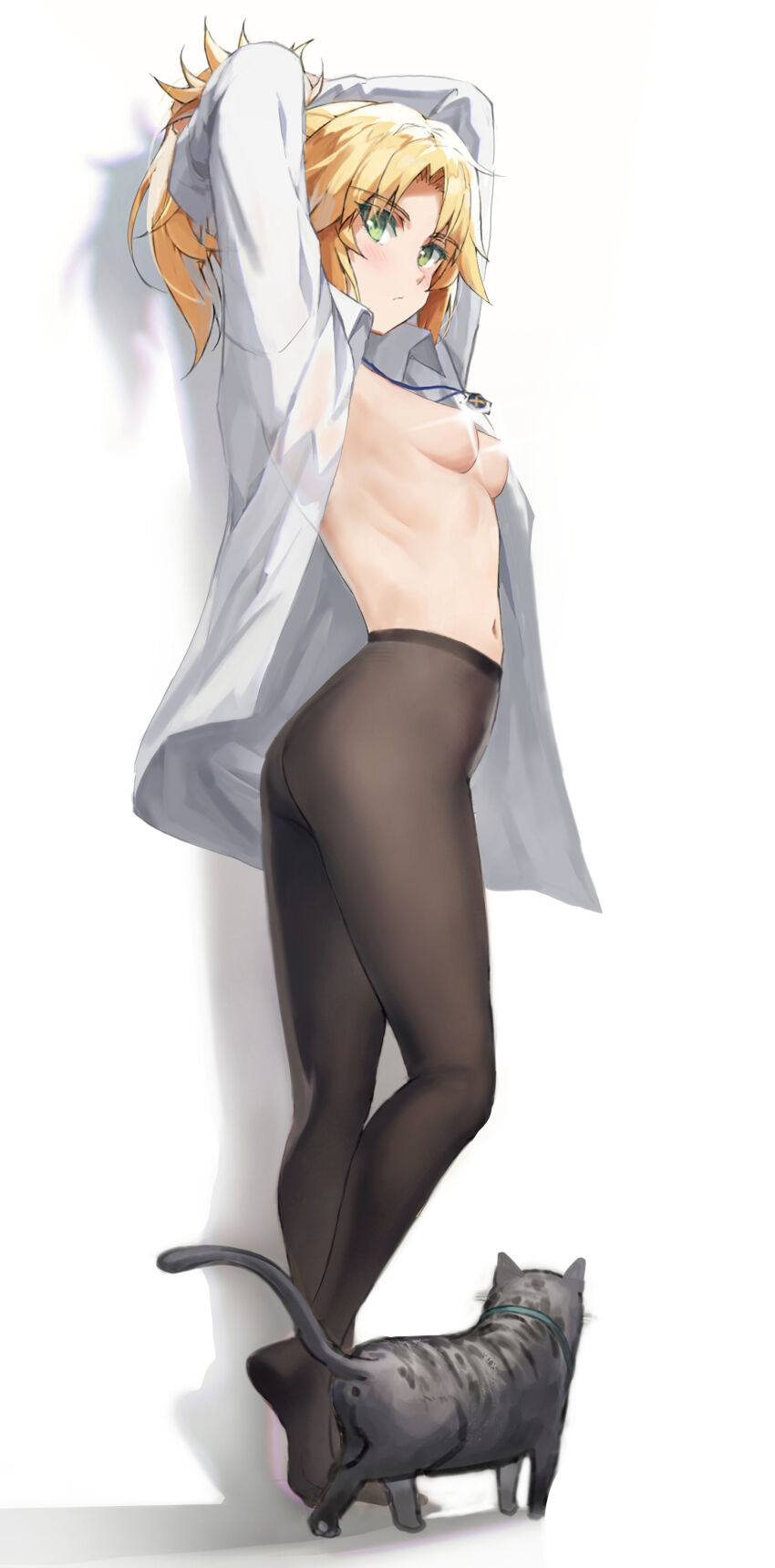 Mordred (Fate) Rule 34 Image