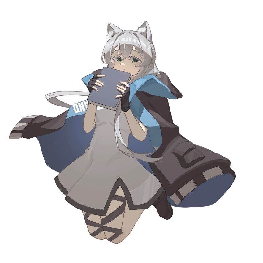 Rosmontis (Arknights) Rule 34 Image
