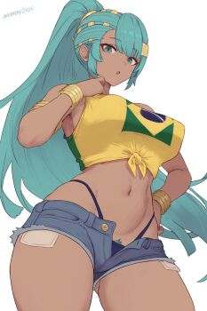 Brazilian Flag Rule 34 Image