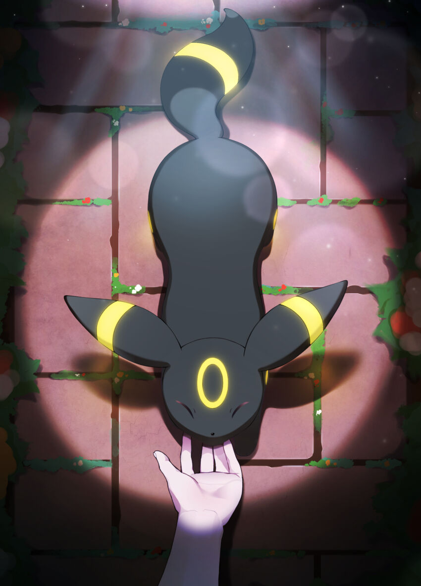 Gen 2 Pokemon (Nintendo) Rule 34 Image