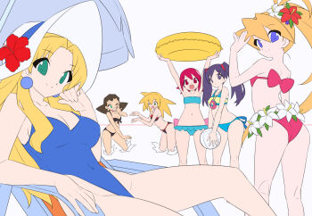 Ciel (Mega Man) Rule 34 Image