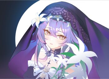 Lily (Flower) Rule 34 Image