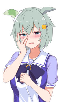 Seiun Sky (Umamusume) Rule 34 Image