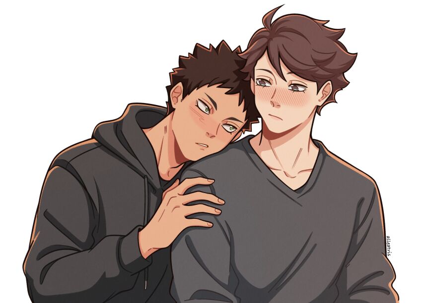 Iwaizumi Hajime (Haikyuu!!) Rule 34 Image