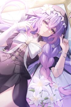 Lily (Flower) Rule 34 Image