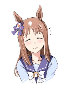 Grass Wonder (Umamusume) Rule 34 Image