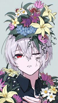 Forget-Me-Not (Flower) Rule 34 Image