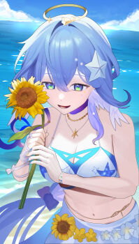 Honkai (Series) Rule 34 Image