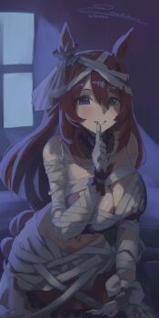 Super Creek (Chiffon-Wrapped Mummy) (Umamusume) Rule 34 Image