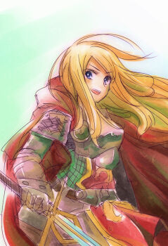 Paladin (Sekaiju) Rule 34 Image