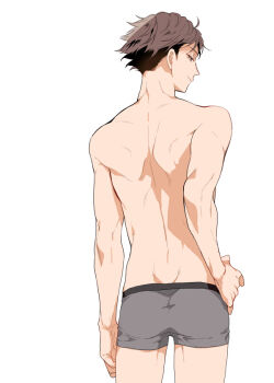 Oikawa Tooru (Haikyuu!!) Rule 34 Image