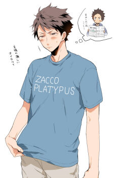 Oikawa Tooru (Haikyuu!!) Rule 34 Image