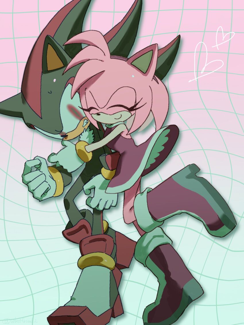 Amy Rose (Sonic (Series)) Rule 34 Image