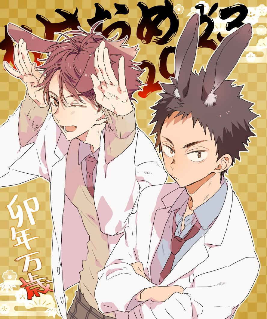 Iwaizumi Hajime (Haikyuu!!) Rule 34 Image