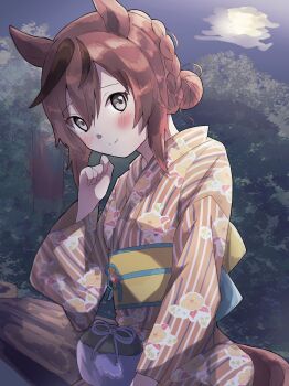 Nice Nature (Umamusume) Rule 34 Image