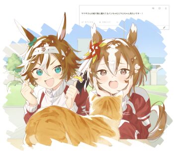 Bamboo Memory (Umamusume) Rule 34 Image