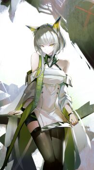 Kal'Tsit (Arknights) Rule 34 Image