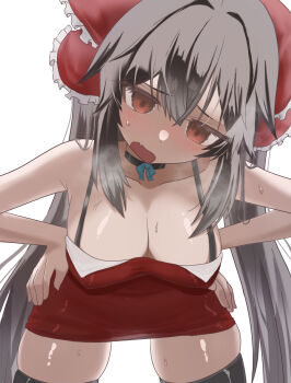 Cookie (Touhou) Rule 34 Image