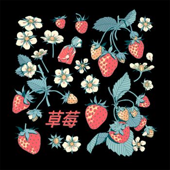 Berry Rule 34 Image