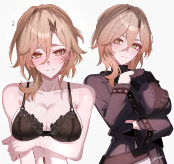 Honkai (Series) Rule 34 Image