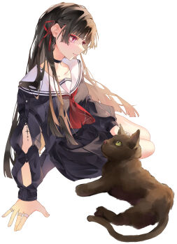 Chisa (Wuthering Waves) Rule 34 Image