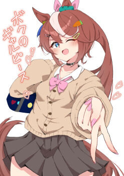 Tokai Teio (Umamusume) Rule 34 Image