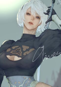 2b (Nier:Automata) Rule 34 Image